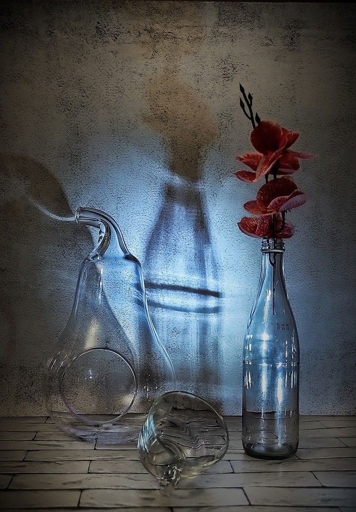 Фотография автора Светлана Алексеева