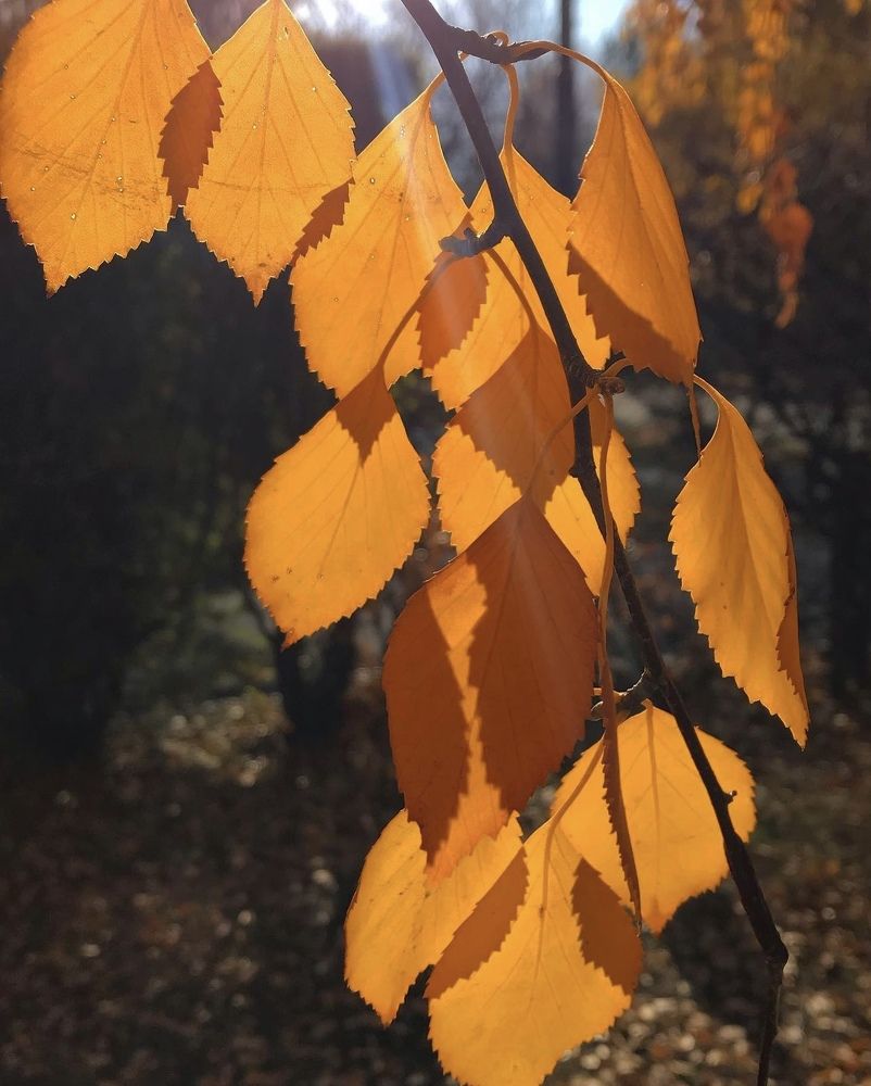 Photograph by Татьяна Волохова