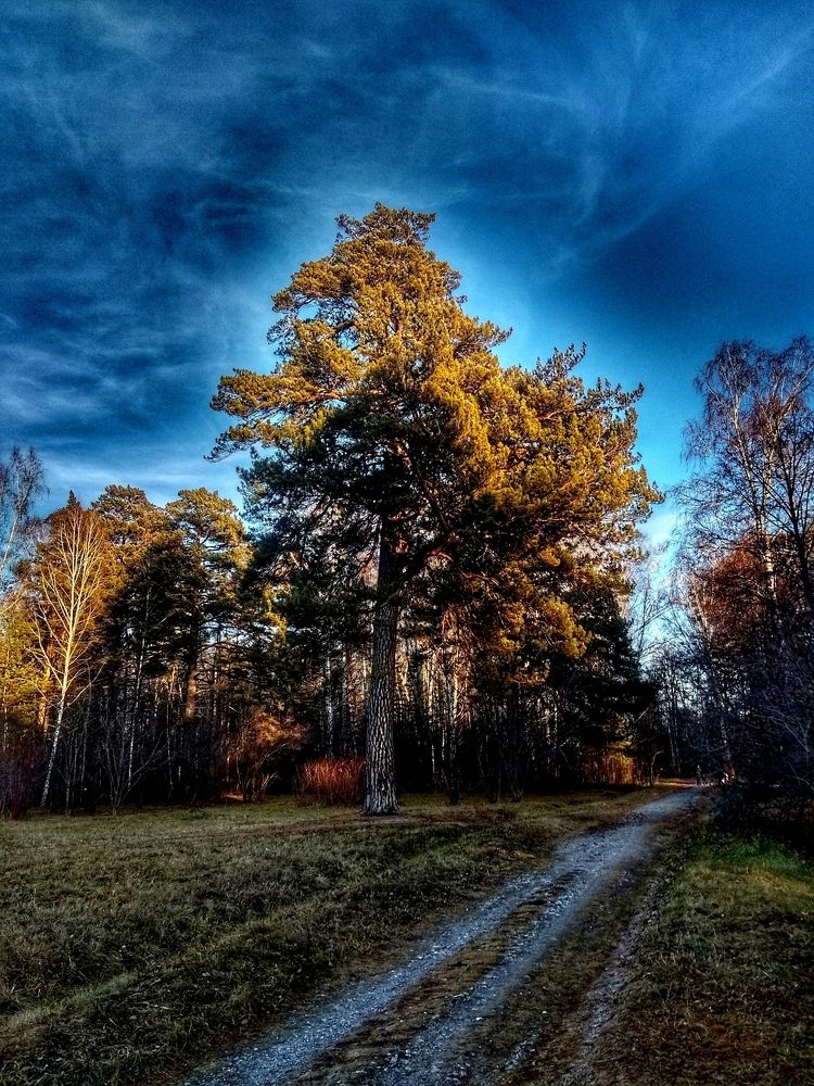Photograph by Ольга Малина