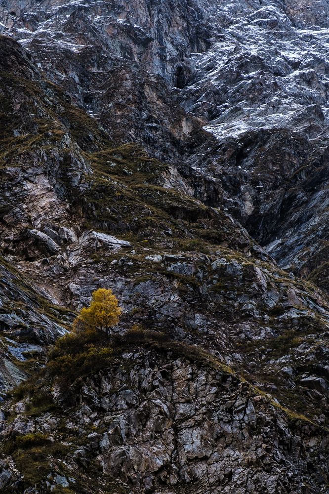 Photograph by Владимир Жерновенков