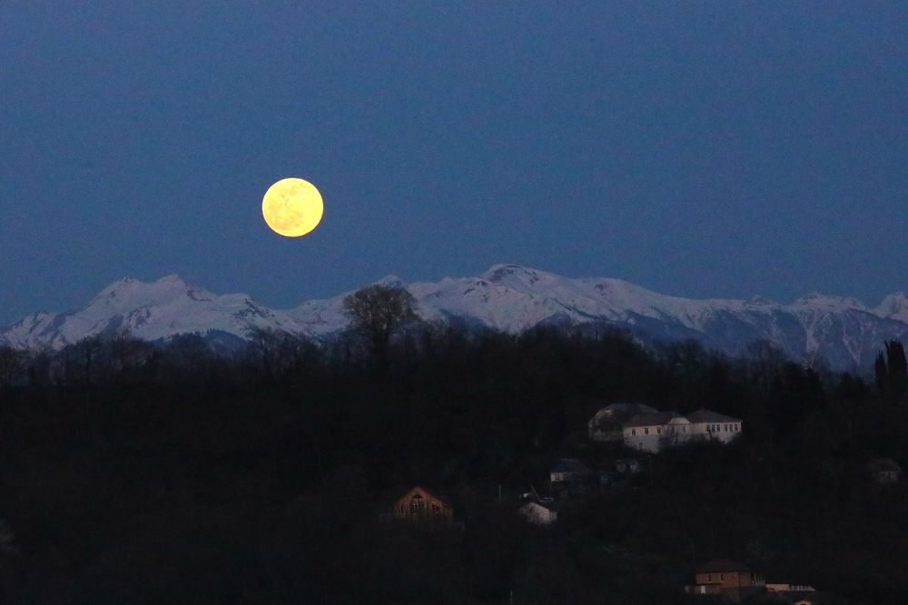 Photograph by Завальнюк Антонина