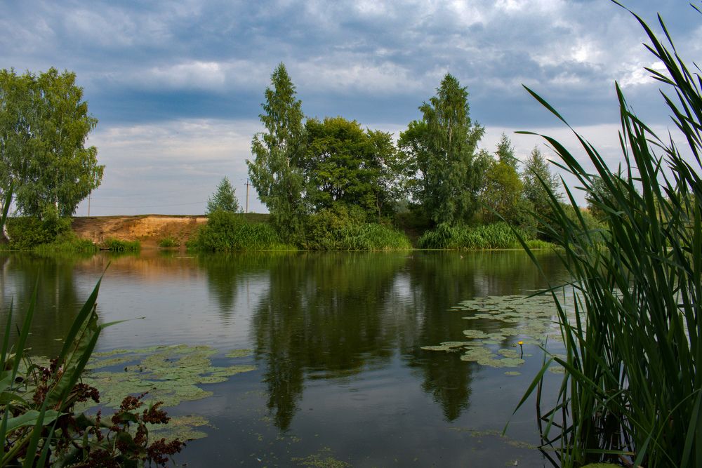 Photograph by Ольга