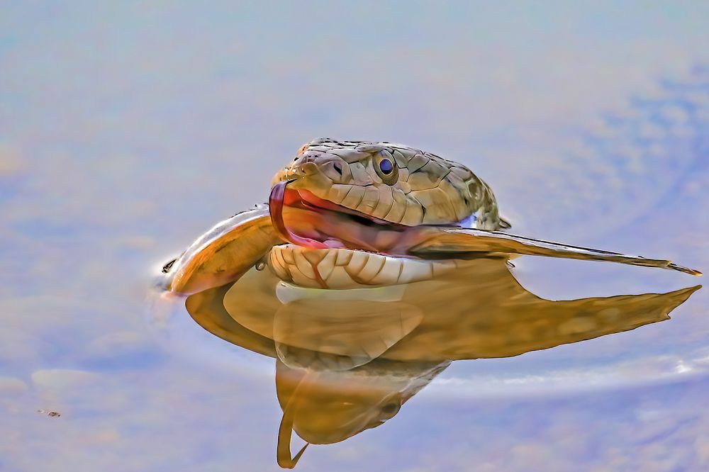 Photograph by Dhruv Shilpi