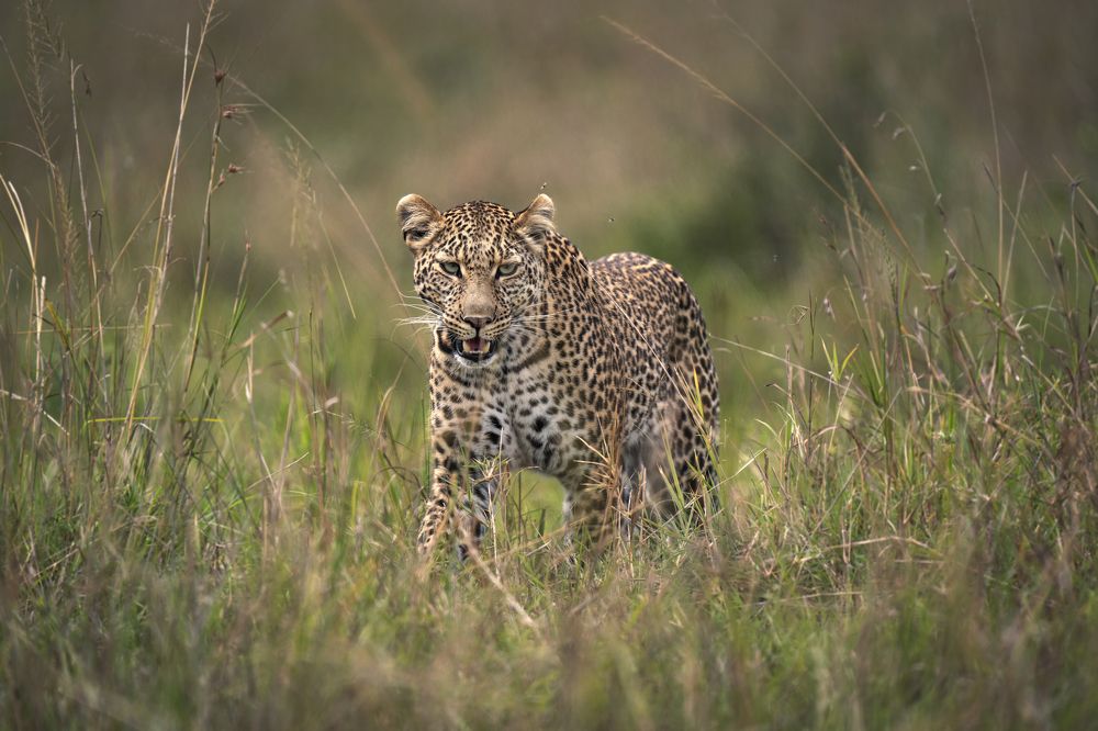 Photograph by Merche Llobera