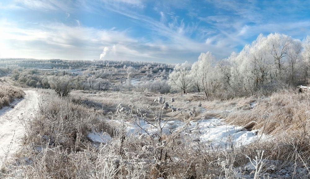 Photograph by Светлана Кондрашова
