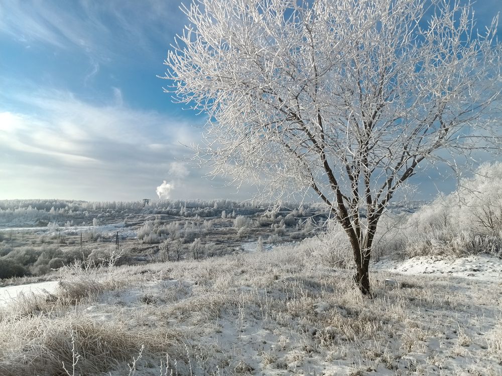 Photograph by Светлана Кондрашова