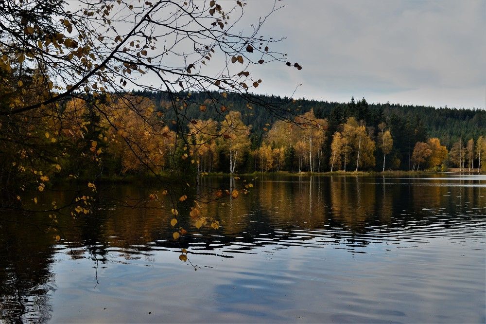 Photograph by Zdeňka Hudcová