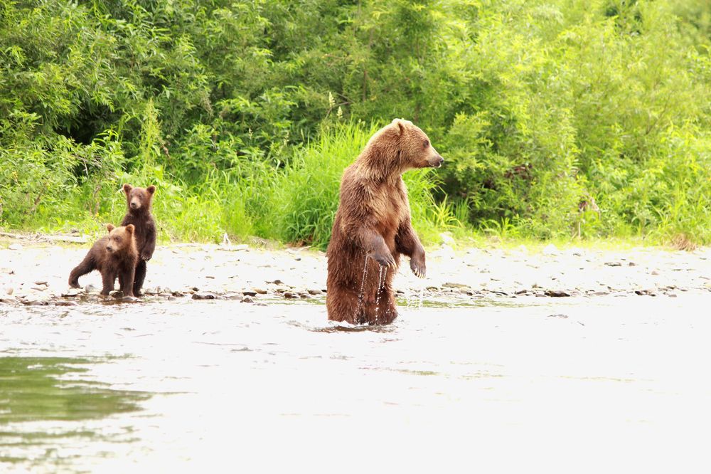 Photograph by Александр