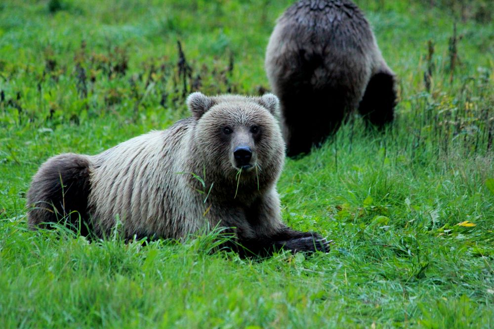 Photograph by Александр