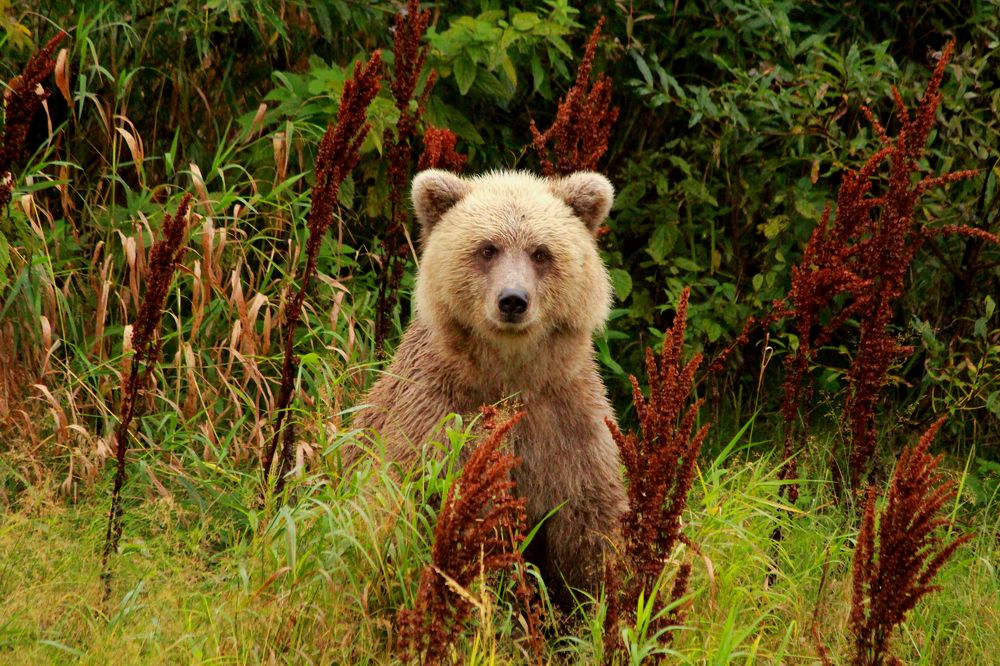 Photograph by Александр