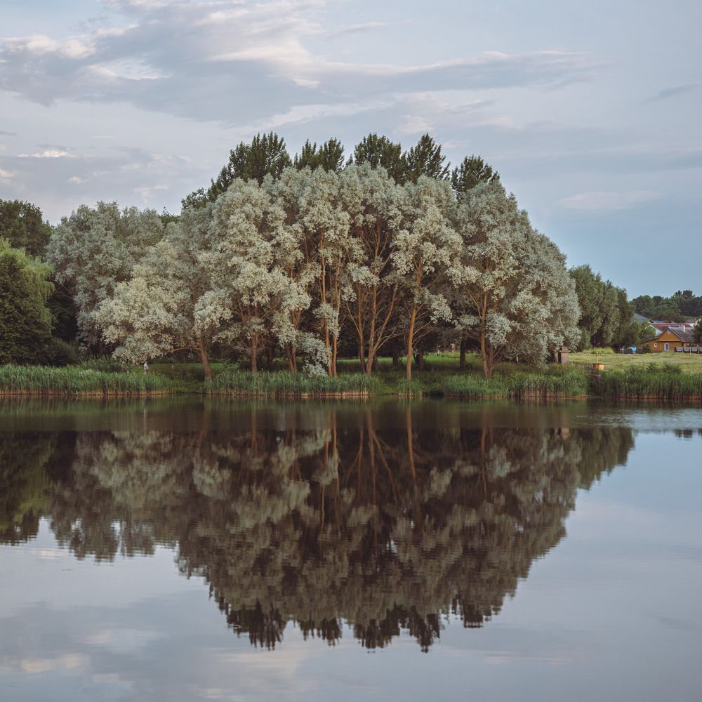 Photograph by Владимир Ликман