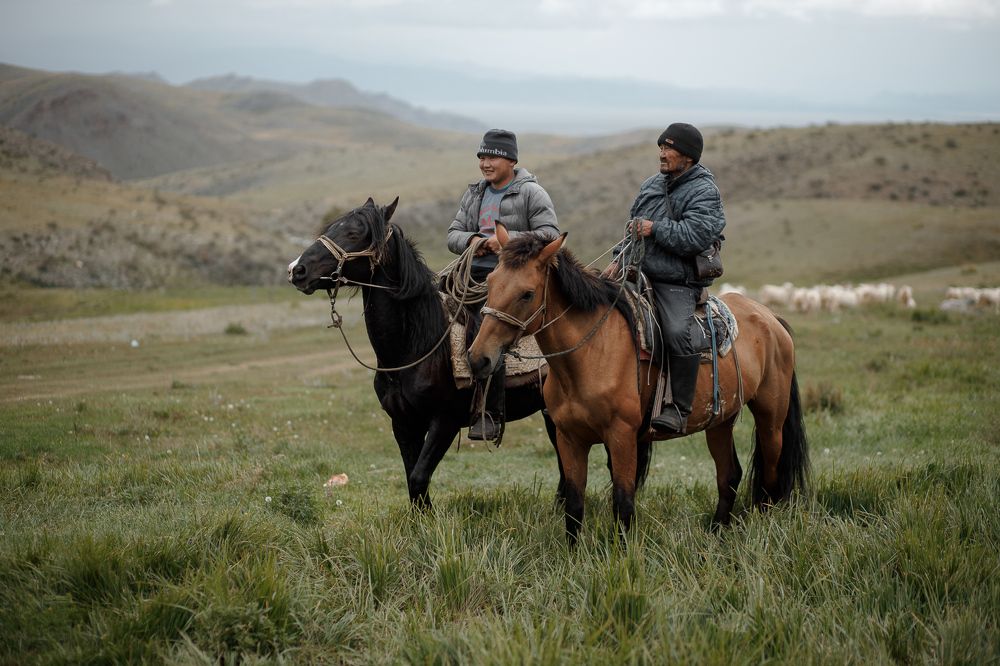 Photograph by Александр Нерозя