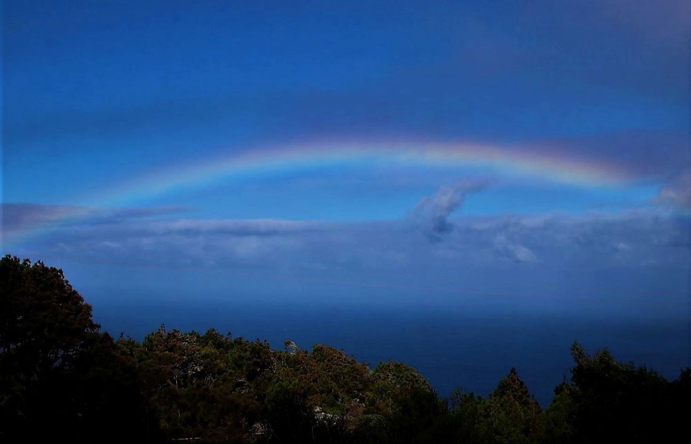 Фотография автора caroline martin (dony)