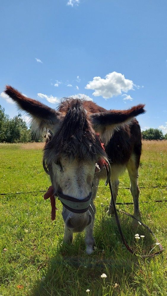 Photograph by ЭЛЬМИРА  ИСМАИЛОВА