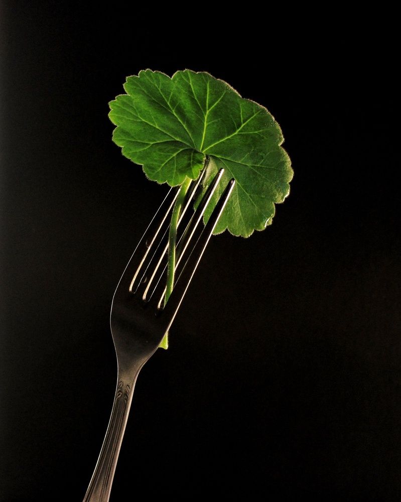 Photograph by Sergey Velichko