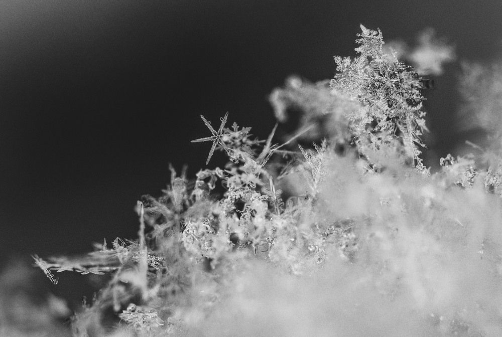 Photograph by Юлия Лушникова