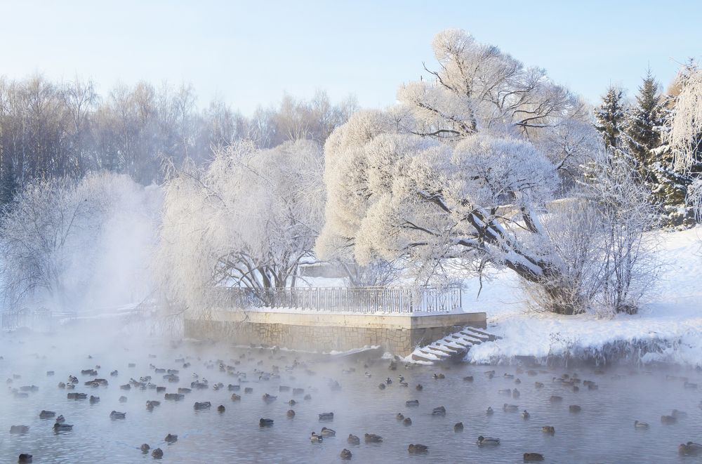 Морозный денек