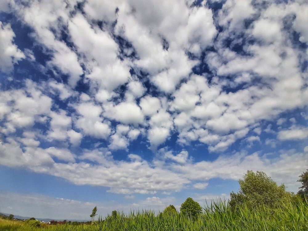 Фотография автора Виктория Мешкова