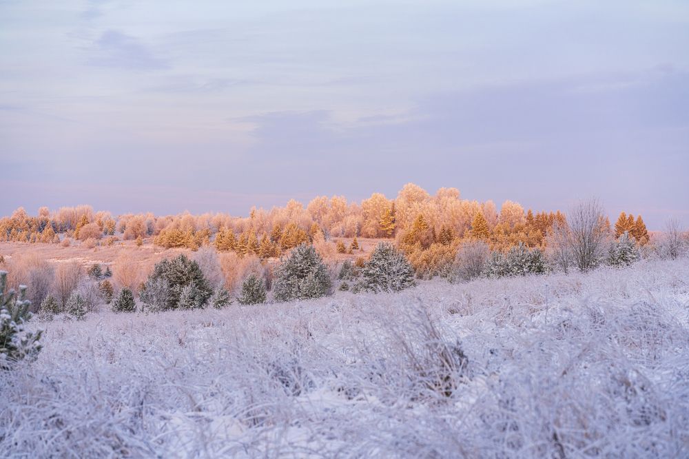 Photograph by Олег Буторин