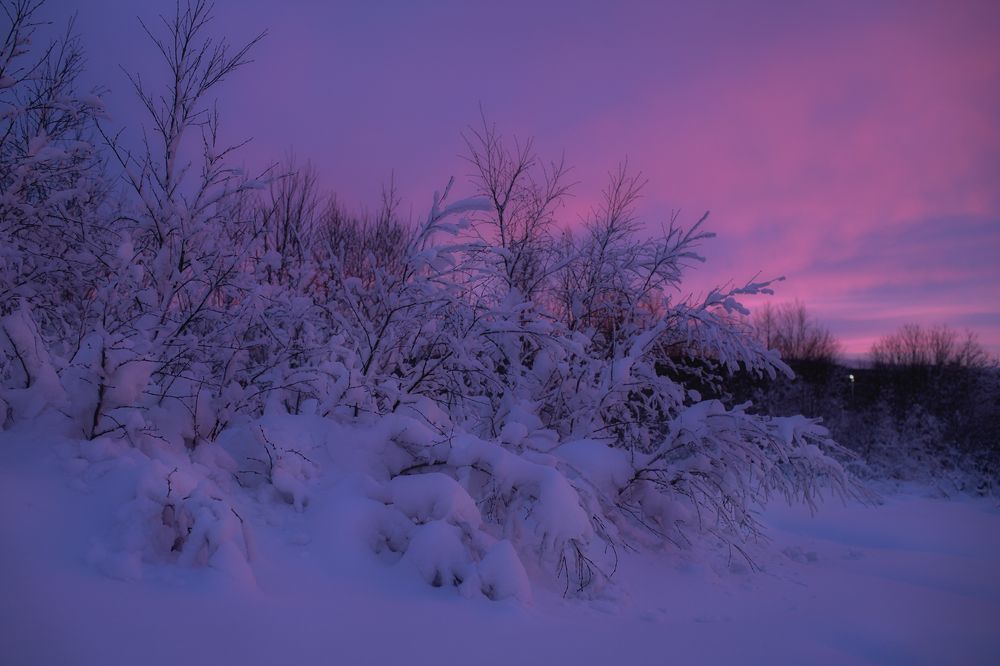 Photograph by Anastasiia Sergeeva