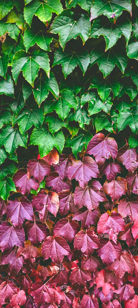 Photograph by Greg Noakes