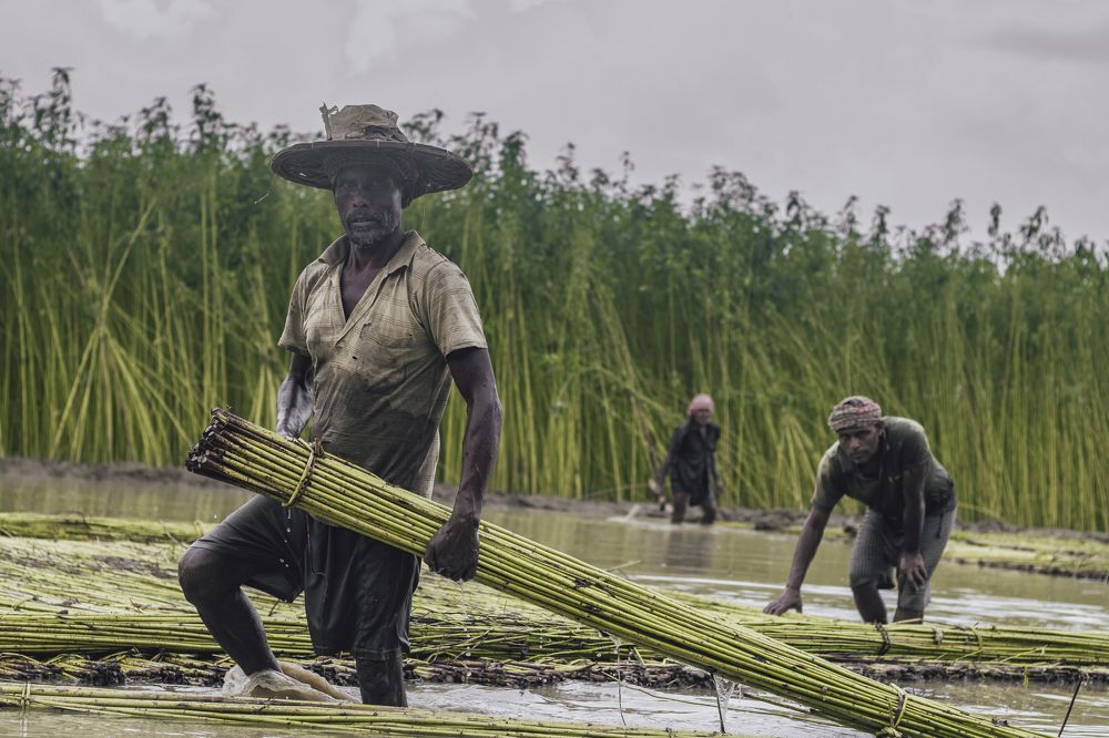 Фотография автора Subhadip Ghosh