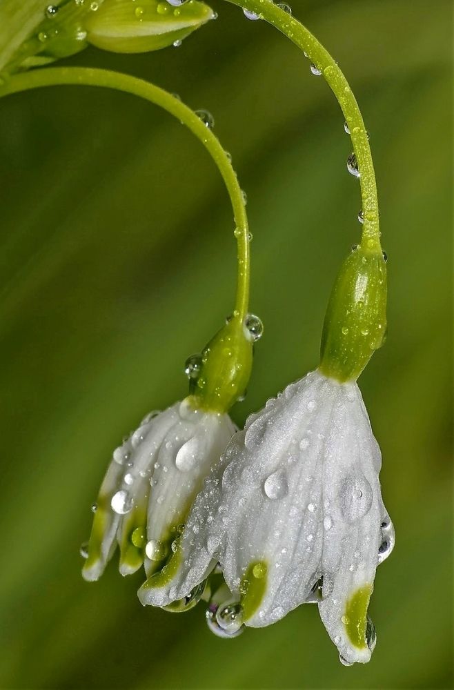 Photograph by Олег Китаев