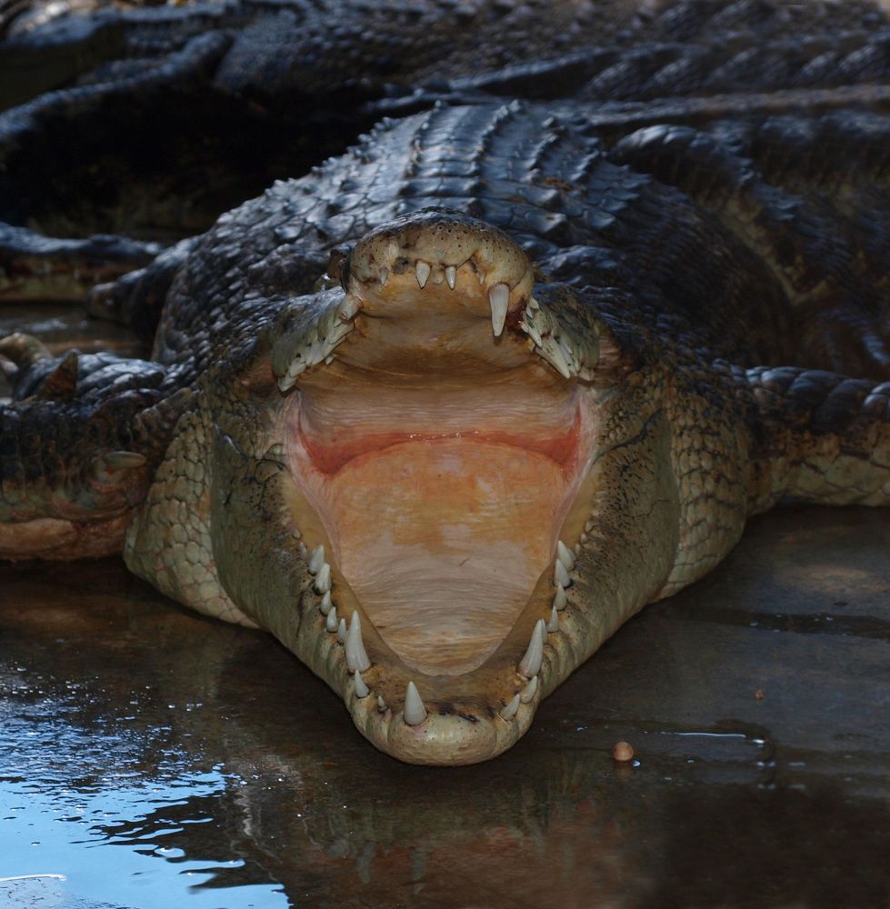 Photograph by Anastasiia Sergeeva