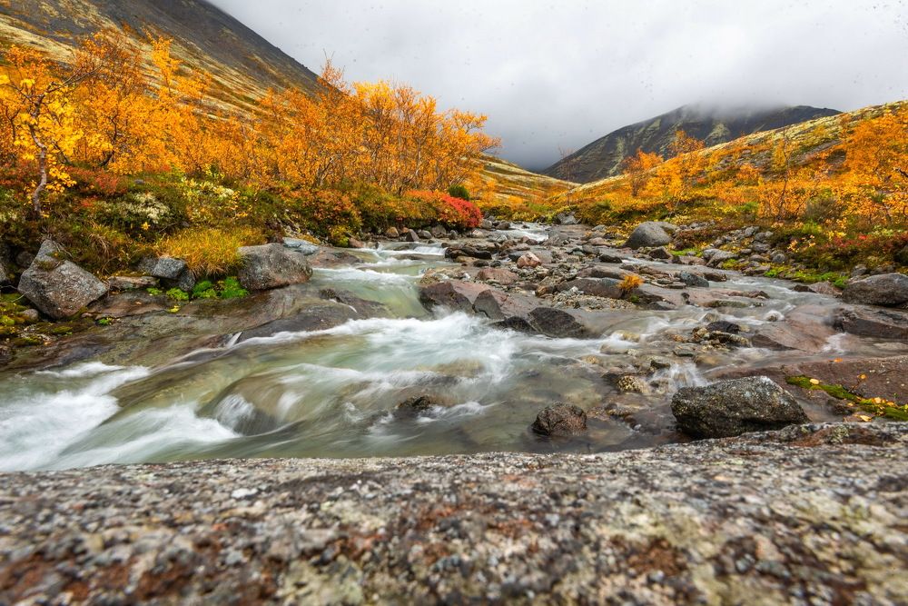 Photograph by Владимир Брагилевский