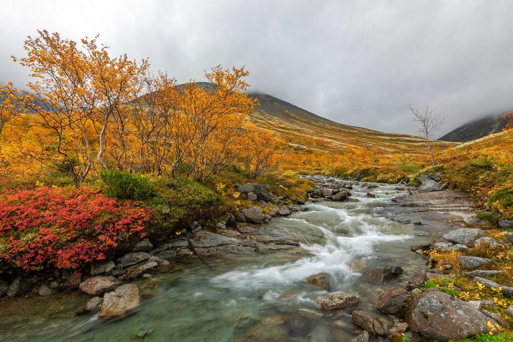 Photograph by Владимир Брагилевский