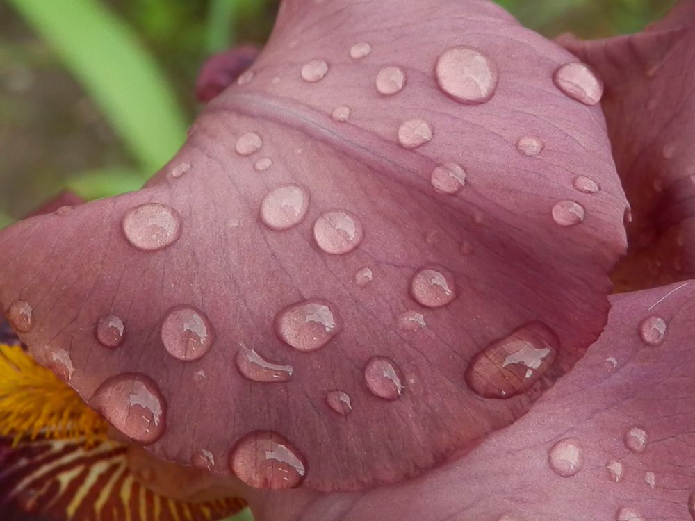 Photograph by Георгий Салюков