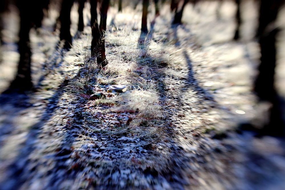 Photograph by Юрий Варюхин