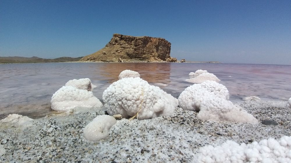 Фотография автора Soheyla Emamian