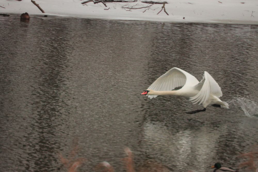 Фотография автора Иван