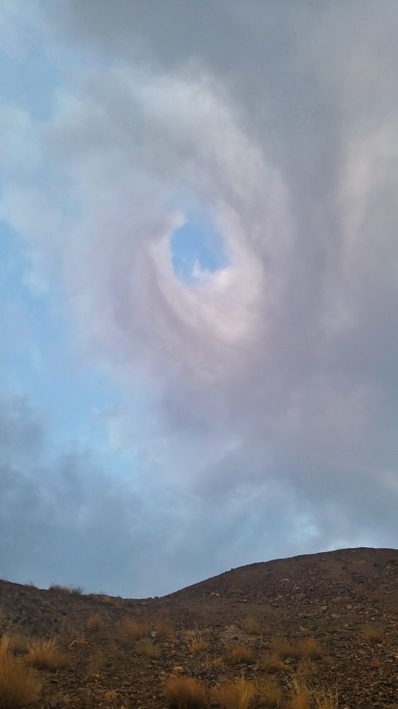 Фотография автора Soheyla Emamian