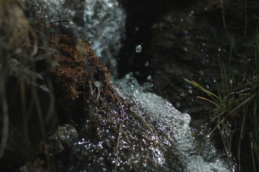 Фотография автора Иван