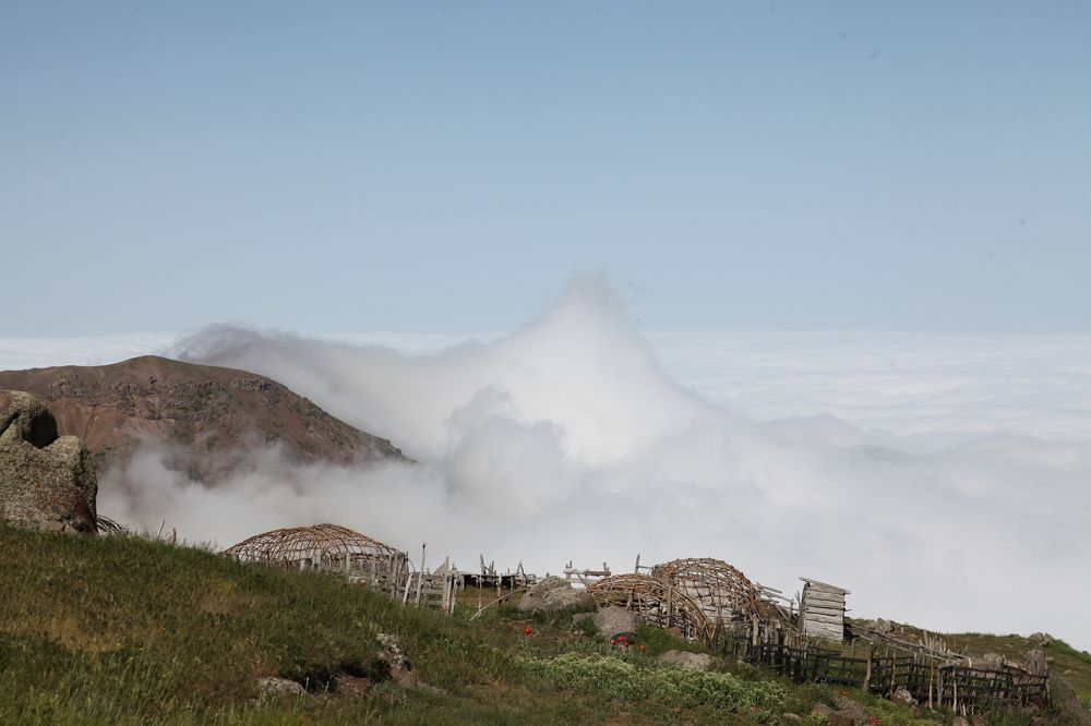 Фотография автора Soheyla Emamian