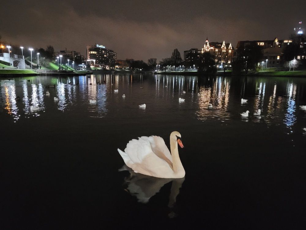 Photograph by Анна Новосельцева