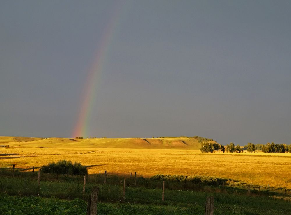 Photograph by Илфир Исламгазин