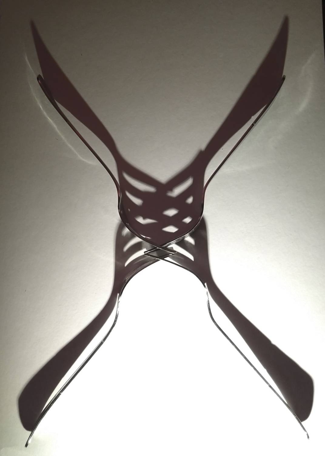 Photo #8446261