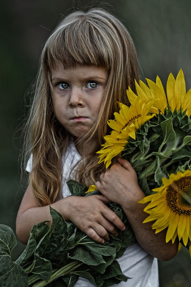 Охапка подсолнухов