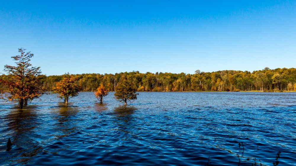 Photograph by seyed mostafa yousefi