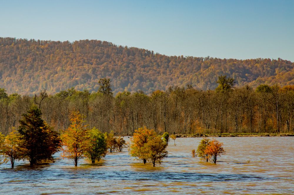 Photograph by seyed mostafa yousefi