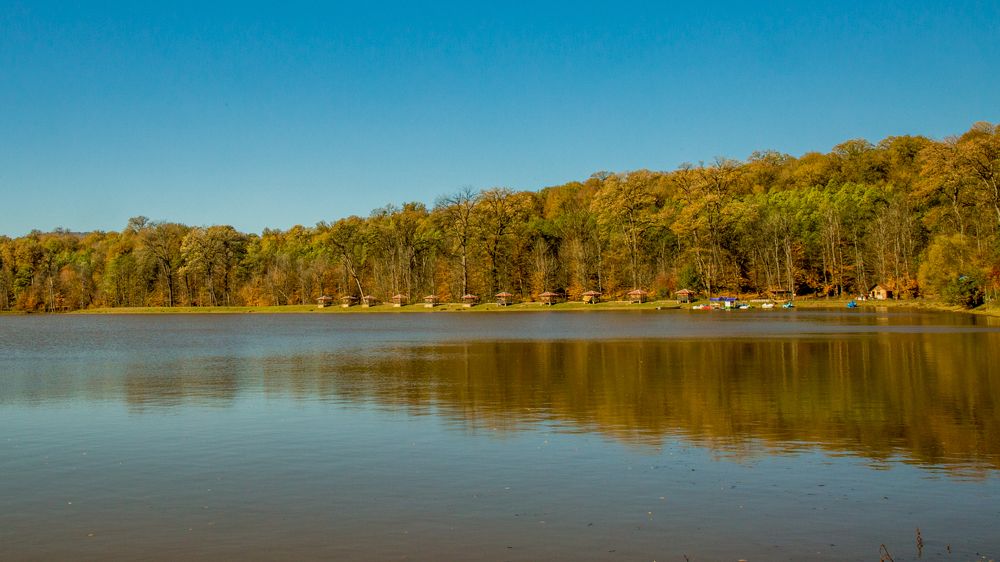 Photograph by seyed mostafa yousefi