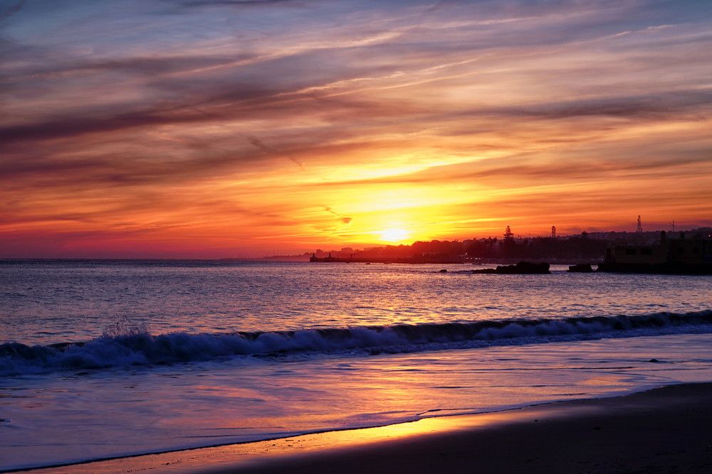 Photograph by Mário C.