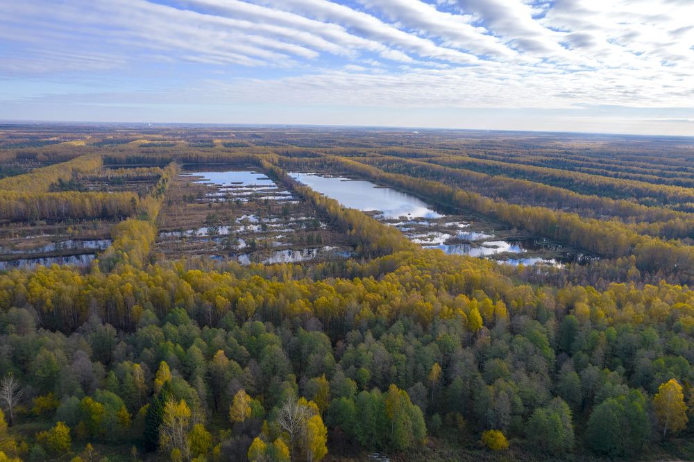 Photograph by Марина Рунова