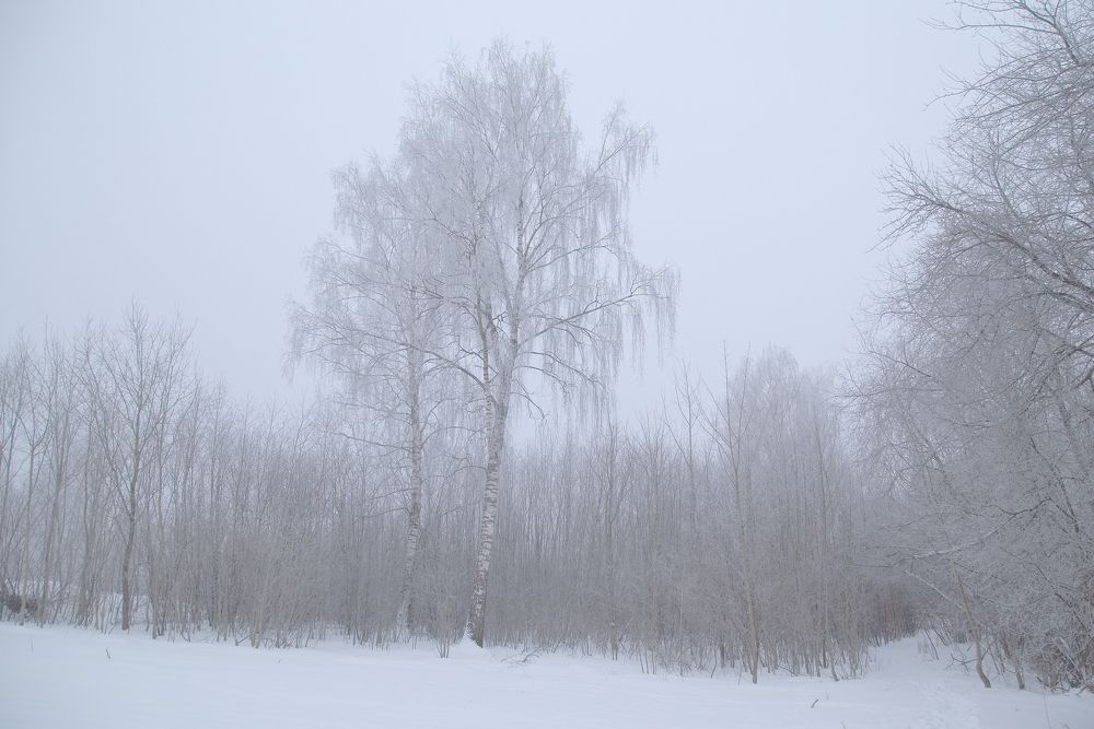 Photograph by Борис Баринов