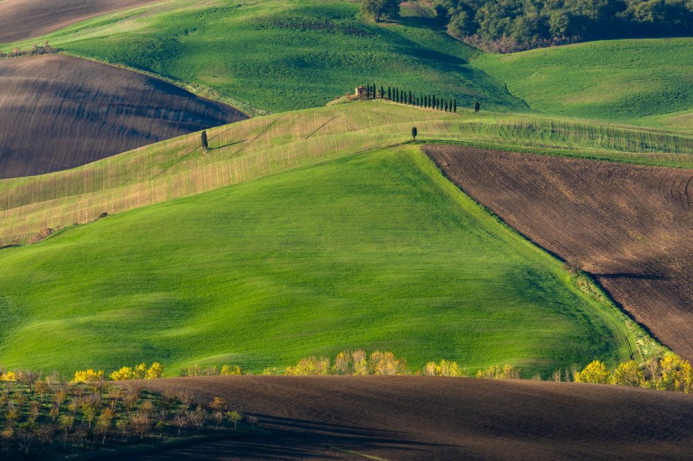 Photograph by Евгения Чех