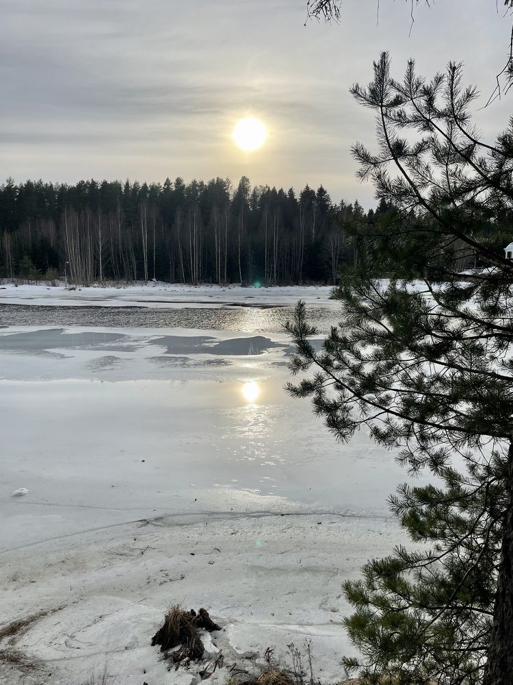 Photograph by Елена Джалалян