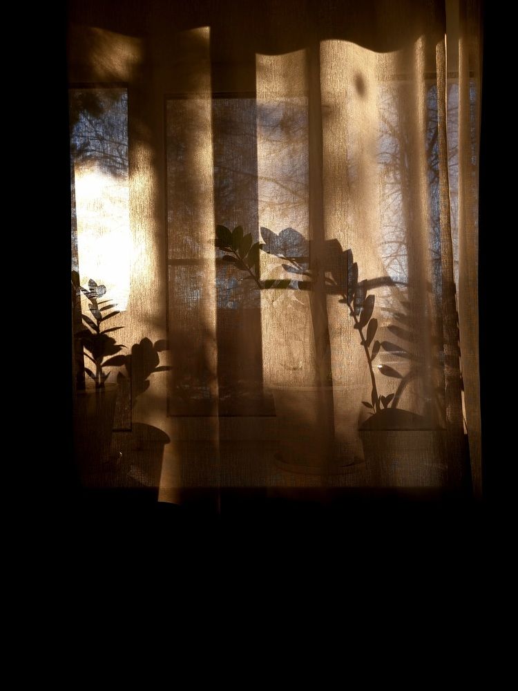 Photograph by Елена